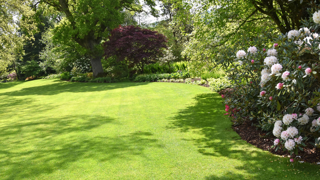 Lawns of Southern New Hampshire | Local Lawn Care Service